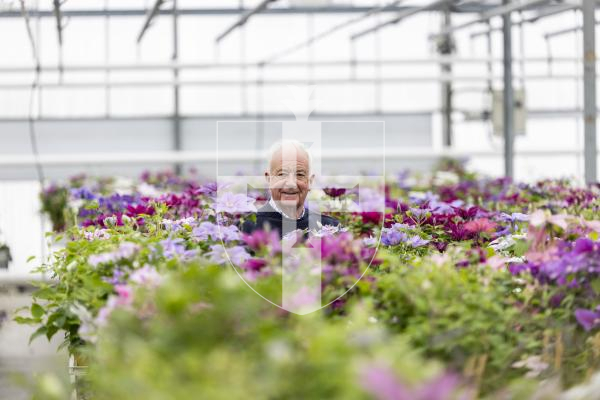 Picture by Sophie Rabey.  29-04-26.  Raymond Evison is preparing for this years RHS Chelsea Flower Show exhibit.  Three new clematis will be entered.