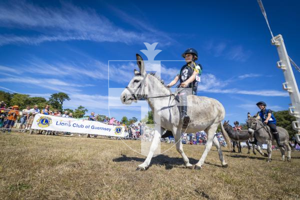 Picture by Peter Frankland. 22-08-26 Lions Club of Guernsey Donkey Derby 2026 at Saumarez Park.