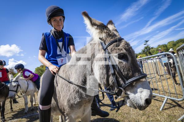 Picture by Peter Frankland. 22-08-26 Lions Club of Guernsey Donkey Derby 2026 at Saumarez Park. Winner of race one was Olivia Dyer, 13 on Master Clean (Joseph).