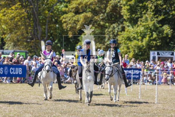 Picture by Peter Frankland. 22-08-26 Lions Club of Guernsey Donkey Derby 2026 at Saumarez Park.