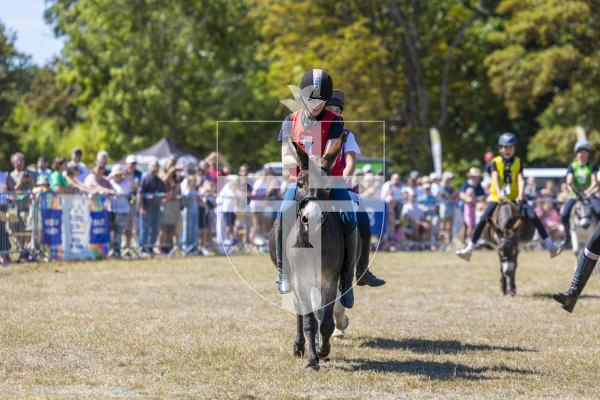 Picture by Peter Frankland. 22-08-26 Lions Club of Guernsey Donkey Derby 2026 at Saumarez Park.