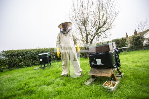Picture by Sophie Rabey.  08-02-24.  Update on how beekeeping for GBKA has gone over the winter.  Clive Weldon is a member of the Committee and is photographed with his hives at home.