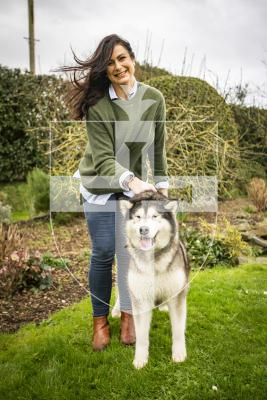 Picture by Sophie Rabey.  09-02-24.  Nicola Brouard (left) and Jodie Trebert (right) have recently had dogs that were crowned UK champions.
Nicola Brouard with her Alaskan Malamute, Coconut (UK + JSY CH SUTARKA COCO CHANEL AT ORSAMALS PdH).