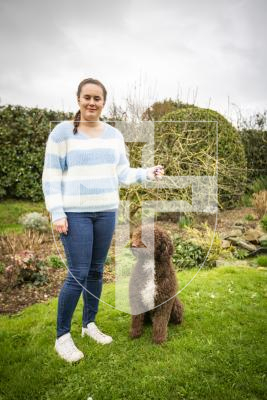 Picture by Sophie Rabey.  09-02-24.  Nicola Brouard (left) and Jodie Trebert (right) have recently had dogs that were crowned UK champions.
Jodie Trebert with Spanish Water Dog, Seve, (UK CH VALENTISIMO’S BALLESTEROS PdH).