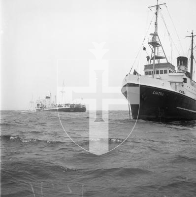Picture by Guernsey Press. 28-05-65 Shipwreck of La Salle off L'eree / Rocquaine in 1965. Wreck.
LSSWPS