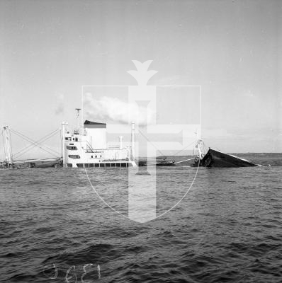 Picture by Guernsey Press. 28-05-65 Shipwreck of La Salle off L'eree / Rocquaine in 1965. Wreck.
LSSWPS