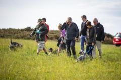 Picture by Luke Le Prevost. 23-09-23.
Schnauzer owners brought their dogs to Pleinmont for the Schnauzerfest charity event to meet up and walk together.