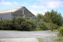 Picture By Peter Frankland. 26-06-17 Generic Strawberry Farm.