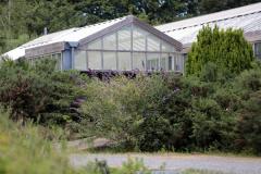 Picture By Peter Frankland. 26-06-17 Generic Strawberry Farm.