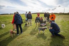 Picture by Luke Le Prevost. 23-09-23.
Schnauzer owners brought their dogs to Pleinmont for the Schnauzerfest charity event to meet up and walk together.