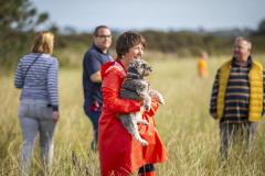 Picture by Luke Le Prevost. 23-09-23.
Schnauzer owners brought their dogs to Pleinmont for the Schnauzerfest charity event to meet up and walk together. Janetta Harvey, Schnauzerfest charity founder