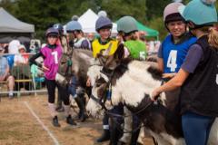 Donkey Derby 2025