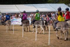 Donkey Derby 2025