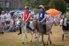 Donkey Derby 2025