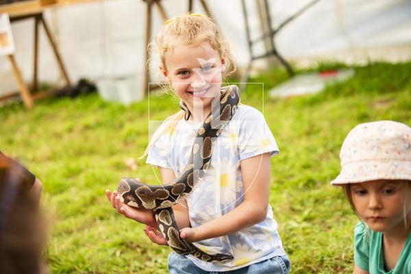 Picture by Sophie Rabey.  23-08-23.  First day of the North Show at Saumarez Park.
Elouise Boyd (aged 7) with a snake from The Reptile House, Island Pet Parties.