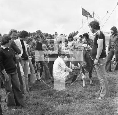 Picture by Guernsey Press.
Nostalgia Lookback feature.
10 Aug 1978. Neg number 3057/78.
Richard Breban shows how the experts do it in his hand-milking demonstration at the South Show. An open invitation followed for anybody to have a go and there were several takers.