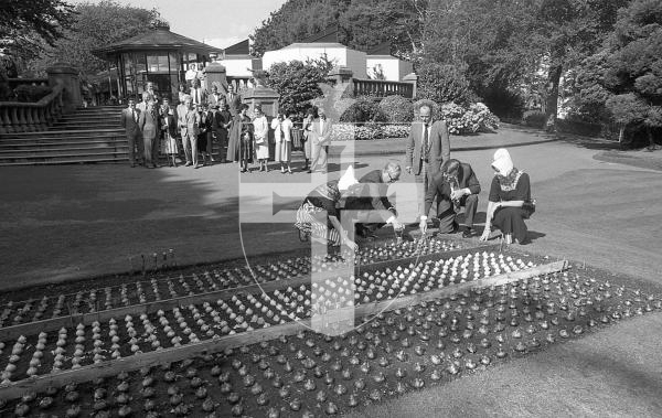 Picture by Guernsey Press.
Nostalgia Lookback feature.
1 Oct 1988. Neg number 2530/29/88.
Castel deputy Geoff Norman overlooks the proceedings as Deputy Bailiff Graham Dorey and the Dutch Agricultral Counsellor Douwe Vries plant the hyacinth bulbs in the shape of the Dutch flag.