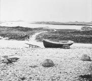Guerin Collection