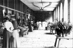 Guerin Collection