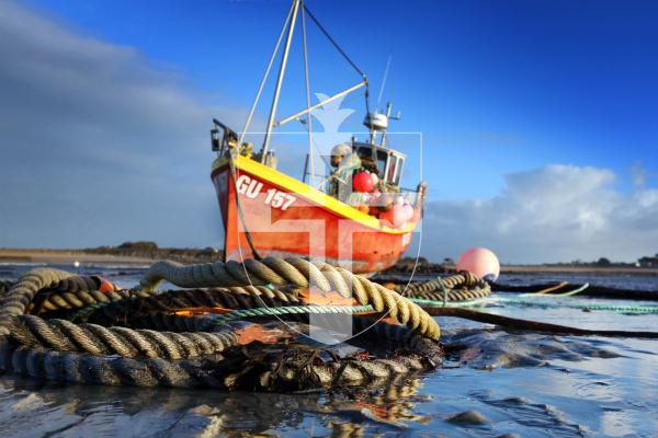 Picture By Steve Sarre 22-01-17
Face Book Scenic 
Rousse Harbour 
Fishing boat Lady Louise at low tide