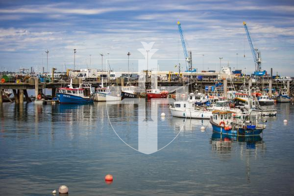 Picture by Sophie Rabey.  05/09/22.   Scenic pic of St Peter Port Fishing Harbour.  GENERIC Fishing Boats.
