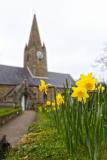 Pic by Adrian Miller 18-03-18 . 
St Martin's Church scenic
daffodils