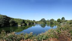 Pic by Adrian Miller 02-08-18    
Guillotin Quarry Vale
Scenic