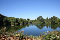 Pic by Adrian Miller 02-08-18    
Guillotin Quarry Vale
Scenic