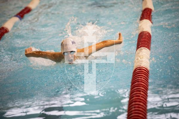 Picture by Sophie Rabey.  26-11-23.  The Island Swimming Championships 2023 - Session 5.
Boys 9 & Over 50 SC Meter Butterfly.
Josh Crosland