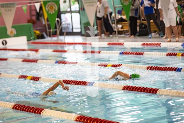 Picture by Sophie Rabey.  26-11-23.  The Island Swimming Championships 2023 - Session 5.
Girls 9 & Over 200 SC Meter Freestyle.
Jodi Payne and Niamh Rich.
