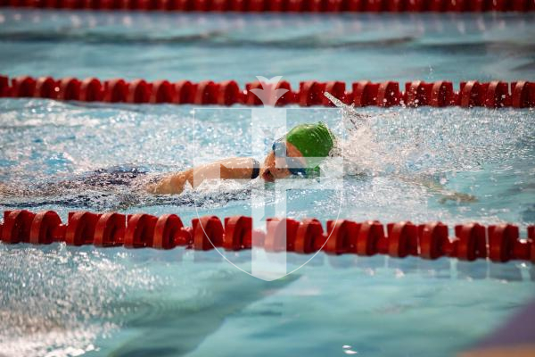 Picture by Sophie Rabey.  26-11-23.  The Island Swimming Championships 2023 - Session 5.
Girls 9 & Over 200 SC Meter Freestyle.
Niamh Rich.