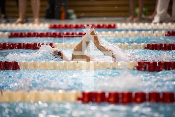 Picture by Sophie Rabey.  26-11-23.  The Island Swimming Championships 2023 - Session 5.
Girls 9 & Over 200 SC Meter Freestyle.
Megan Carter.