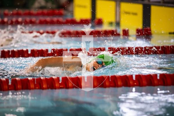 Picture by Sophie Rabey.  26-11-23.  The Island Swimming Championships 2023 - Session 5.
Girls 9 & Over 200 SC Meter Freestyle.
Grace King.