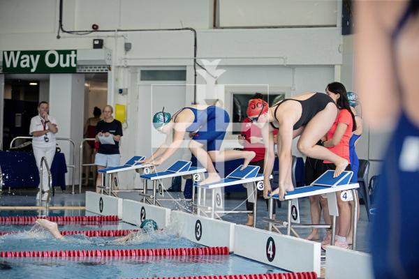 Picture By Peter Frankland. 19-06-24 Swimming Gala between Ladies' College and Jersey College for Girls at Beau Sejour.