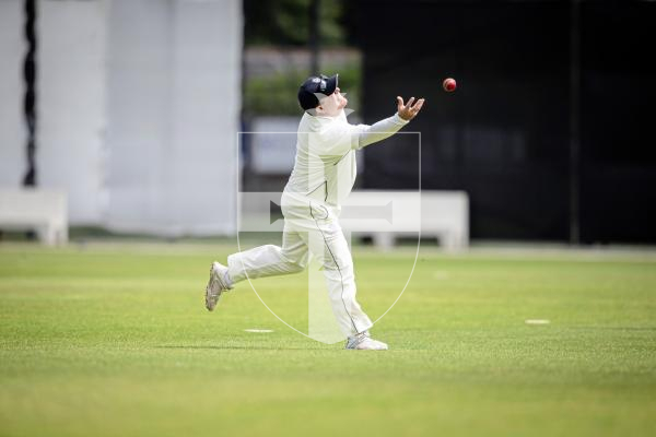 Picture By Peter Frankland. 19-06-24 Cricket at KGV - Challenge Islands v Hampshire.