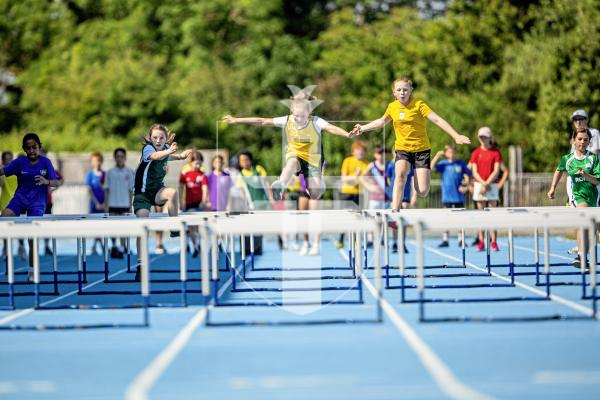 Picture by Sophie Rabey.  26-06-24.  Primary Schools Athletics Track & Field Competition at Footes Lane.
Year 5 Girls - Hurdles Semi Final.