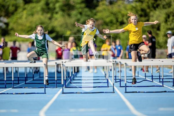 Picture by Sophie Rabey.  26-06-24.  Primary Schools Athletics Track & Field Competition at Footes Lane.
Year 5 Girls - Hurdles Semi Final.
