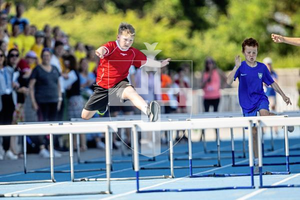 Picture by Sophie Rabey.  26-06-24.  Primary Schools Athletics Track & Field Competition at Footes Lane.
Year 5 Boys - Hurdles Semi Final.