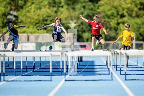 Picture by Sophie Rabey.  26-06-24.  Primary Schools Athletics Track & Field Competition at Footes Lane.
Year 6 Boys - Hurdles Semi Final.