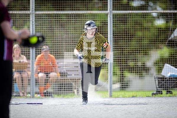 Picture by Peter Frankland. 10-08-24 Softball at Beau Sejour. All Division Knockout. Eagles Black (Black) v Pythons (Orange).