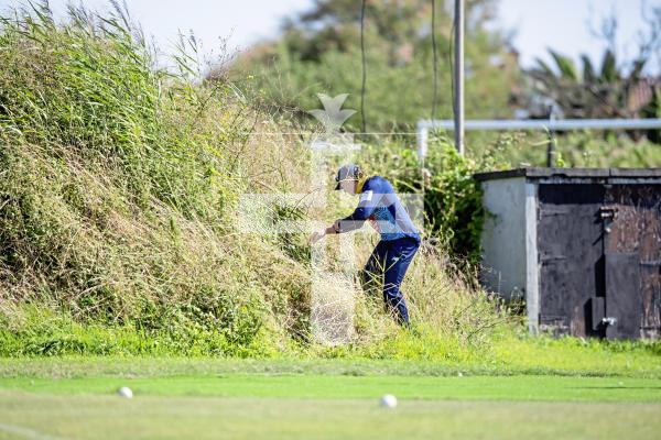 Picture by Peter Frankland. 10-08-24 Cricket at Port Soif - Cobo v Griffins.