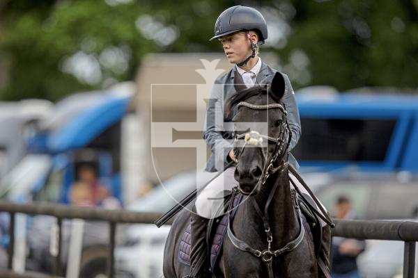 Picture by Peter Frankland. 23-08-24 Horse Of The Year Show at Chemin Le Roi. Show jumping. Zac Rihoy on Lucky Bay.