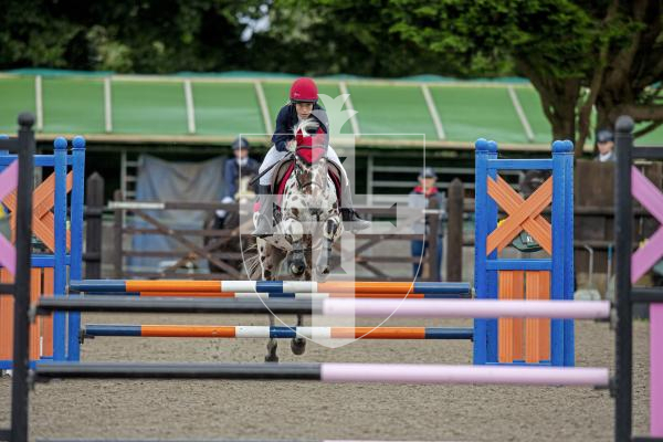 Picture by Peter Frankland. 23-08-24 Horse Of The Year Show at Chemin Le Roi. Show jumping. Adele Hickling on Spot On.