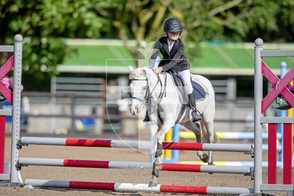 Picture by Peter Frankland. 23-08-24 Horse Of The Year Show at Chemin Le Roi. Show jumping. Lily Jeffreys on Trigger Vanglourious.