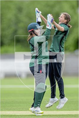 Wicket celebrations for Molly Robinson