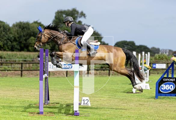 Picture by Peter Frankland. 21-08-25 Horse of the Year show at Chemin Le Roi. Sarah Jackson on Follyfoot Arkadia.