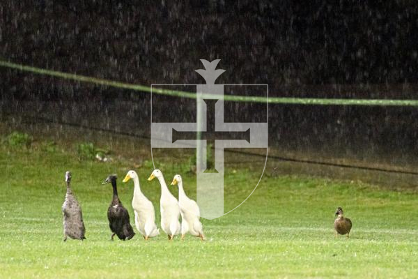 Picture by Sophie Rabey.  09-09-25.  Football Action at Corbet Field.  Vale Rec vs North.