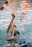 Picture by Sophie Rabey.  05-10-24.  GASA 100m Championships 2024 at St Sampsons High School.
Female 9 & Over 100SC Meter Backstroke.
Lily-Ann Felbabel.