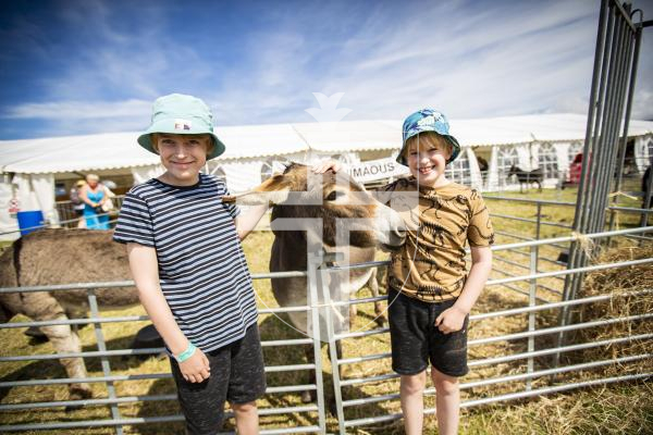 Picture by Sophie Rabey.  16-08-23.   West Show 2023.  
Luca De Domenico (11) and Mylo De Domenico (9) with Guernsey Donkey.
