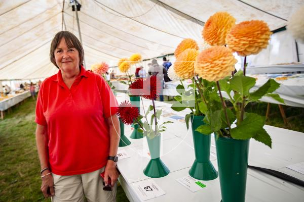 Picture by Sophie Rabey.  16-08-23.   West Show 2023.  Day 1 of judging.
Julie Baudains and her prized Dahlias.